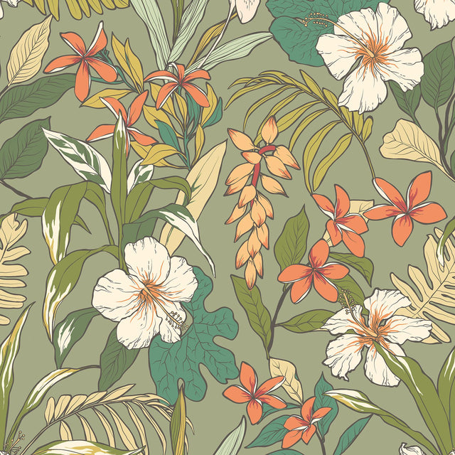 York Oasis Olive & Citrus Peel and Stick Wallpaper