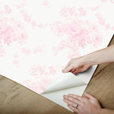 York Champagne Harbor Pink Dream Peel & Stick Wallpaper