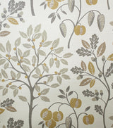 York Rowan Natural Autumn Trees Wallpaper
