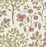 York Rowan Olive Autumn Trees Wallpaper