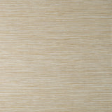 York Fusion Neutral Plain Wallpaper