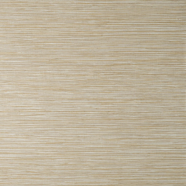 York Fusion Neutral Plain Wallpaper