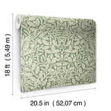 York Acorn Forest Peel and Stick Wallpaper
