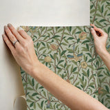 York Bird and Pomegranate Bayleaf and Forest Peel and Stick Wallpaper