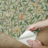 York Bird and Pomegranate Bayleaf and Forest Peel and Stick Wallpaper