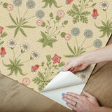 York Daisy Fennel and Rose Peel and Stick Wallpaper