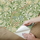 York Golden lily Boughs Green Peel and Stick Wallpaper