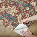 York Strawberry Thief Madder Peel and Stick Wallpaper