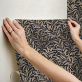 York Willow Boughs Charcoal Peel and Stick Wallpaper