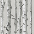 York Mountain Birch Grey Peel & Stick Wallpaper