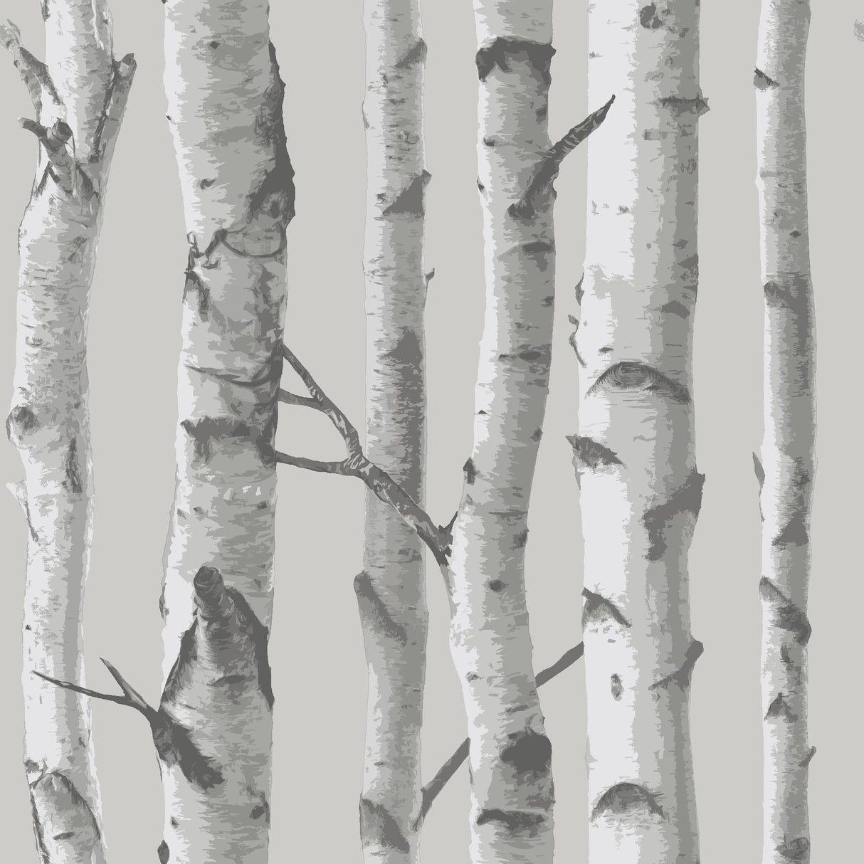 York Mountain Birch Grey Peel & Stick Wallpaper