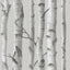 York Mountain Birch Grey Peel & Stick Wallpaper
