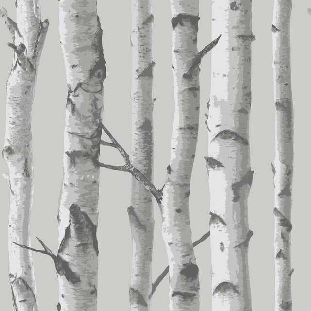 York Mountain Birch Grey Peel & Stick Wallpaper