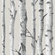 York Birch Tree Peel & Stick Wallpaper