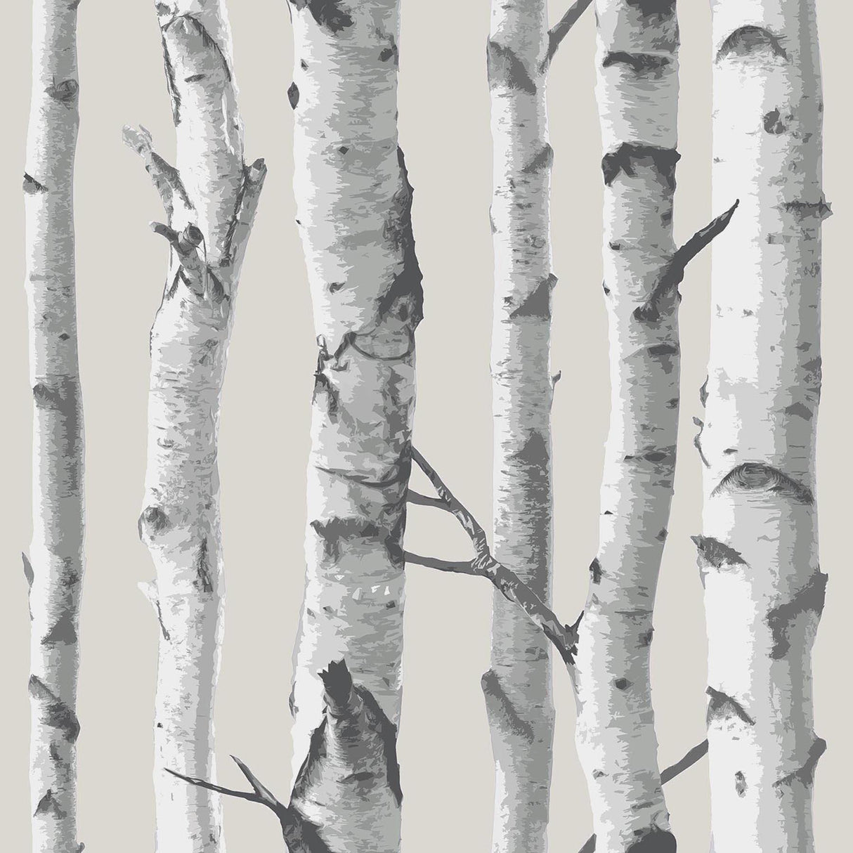 York Birch Tree Peel & Stick Wallpaper