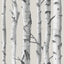 York Birch Tree Peel & Stick Wallpaper