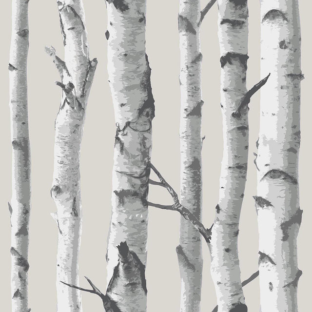 York Birch Tree Peel & Stick Wallpaper