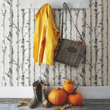 York Birch Tree Peel & Stick Wallpaper