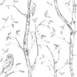 York Grey Woods Peel & Stick Wallpaper