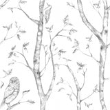 York Grey Woods Peel & Stick Wallpaper