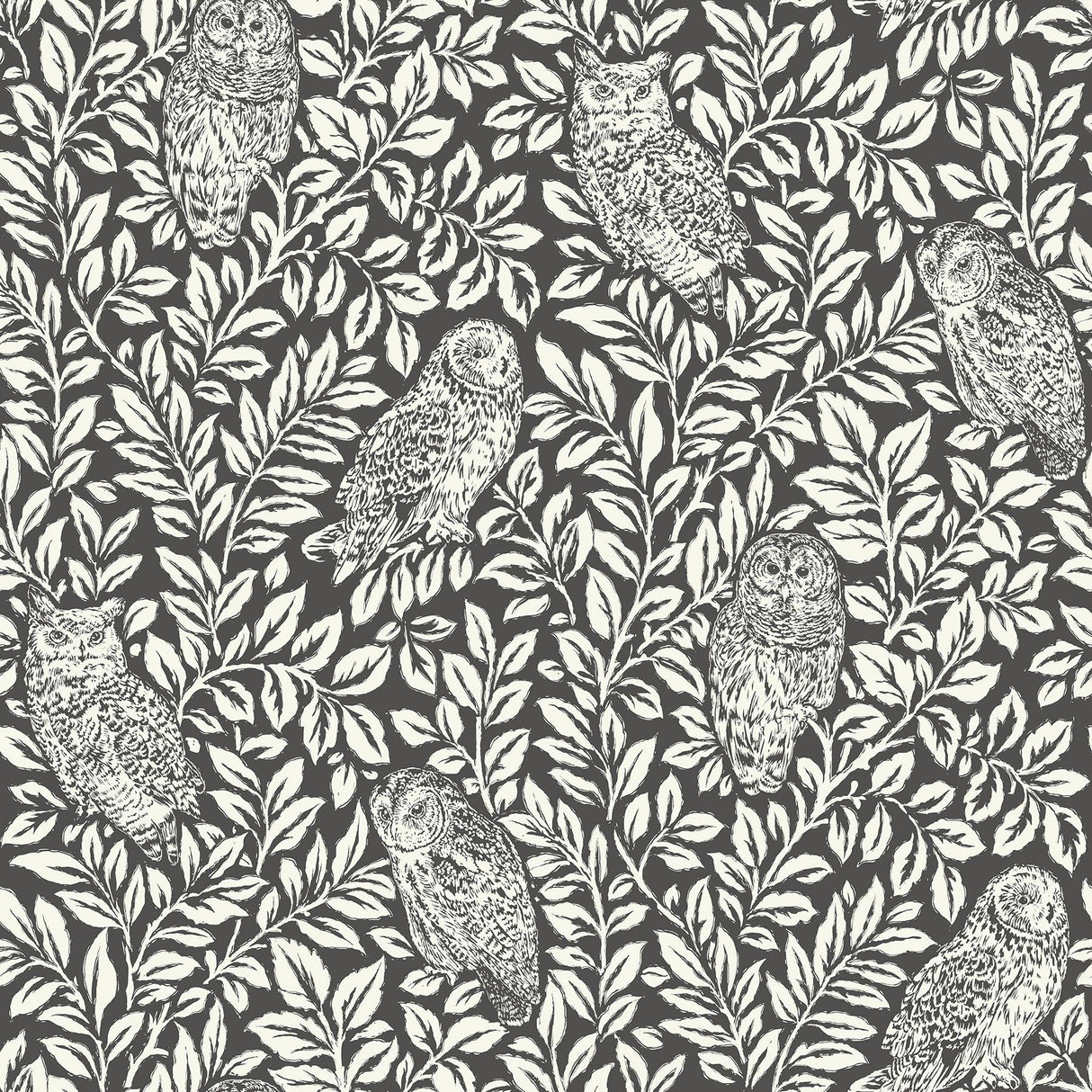 York Charcoal Sleepy Owls Peel & Stick Wallpaper