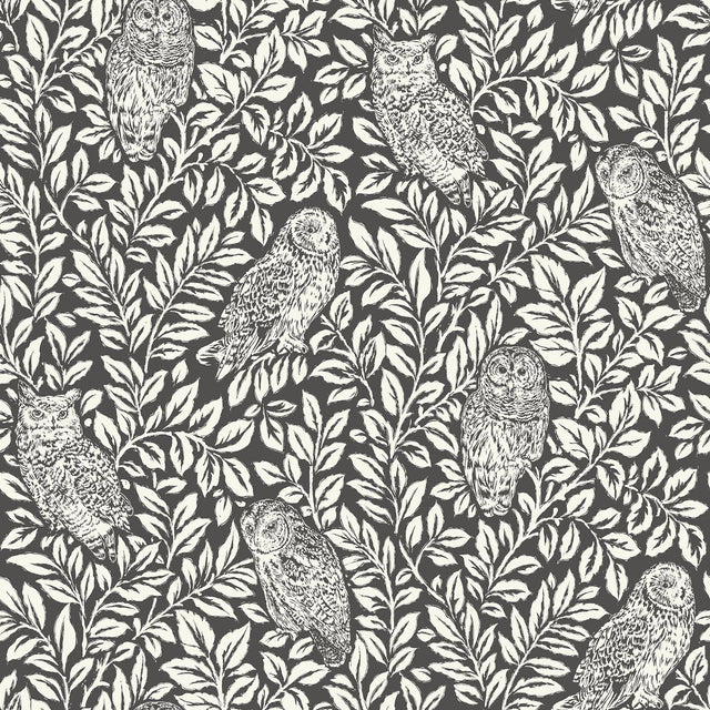 York Charcoal Sleepy Owls Peel & Stick Wallpaper