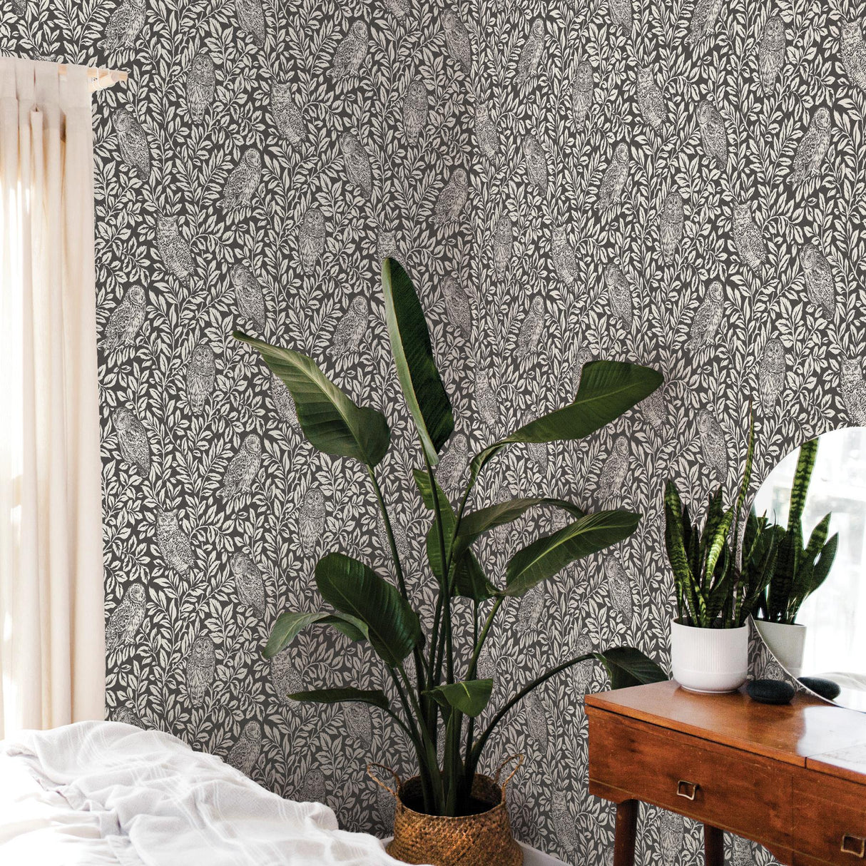 York Charcoal Sleepy Owls Peel & Stick Wallpaper