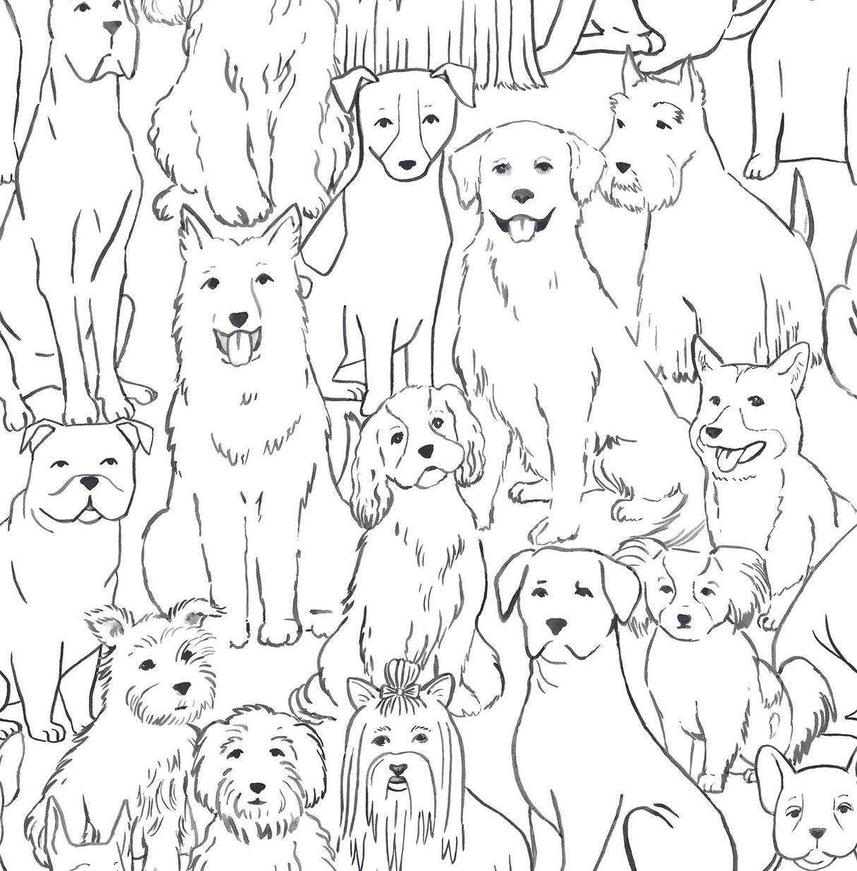 York Black & White Paws On Peel & Stick Wallpaper