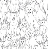 York Black & White Paws On Peel & Stick Wallpaper