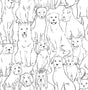 York Black & White Paws On Peel & Stick Wallpaper