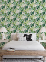 York Green Adansonii Peel & Stick Wallpaper