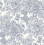 York Blue Sudbury Peel & Stick Wallpaper