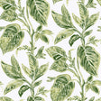 York Green Caryota Peel & Stick Wallpaper