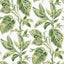 York Green Caryota Peel & Stick Wallpaper