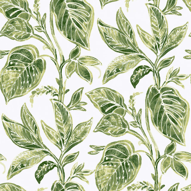 York Green Caryota Peel & Stick Wallpaper