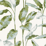 York Banana Leaf Green Peel & Stick Wallpaper