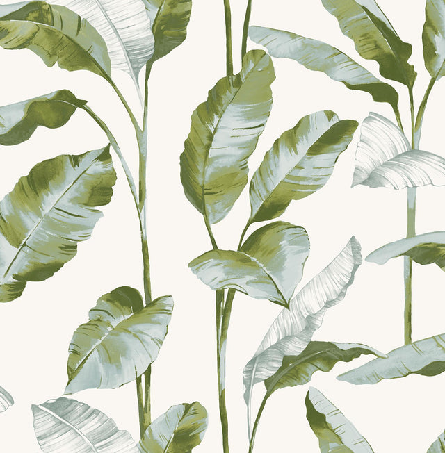 York Banana Leaf Green Peel & Stick Wallpaper