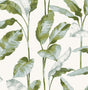 York Banana Leaf Green Peel & Stick Wallpaper