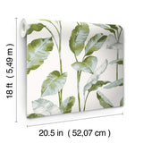 York Banana Leaf Green Peel & Stick Wallpaper