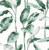 York Banana Leaf Teal Peel & Stick Wallpaper