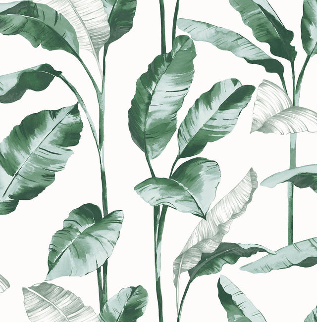York Banana Leaf Teal Peel & Stick Wallpaper