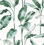 York Banana Leaf Teal Peel & Stick Wallpaper