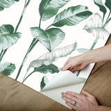 York Banana Leaf Teal Peel & Stick Wallpaper
