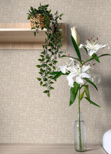 York Poplin Tan Peel & Stick Wallpaper
