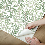 York Terrace Vines Herb Green Peel & Stick Wallpaper