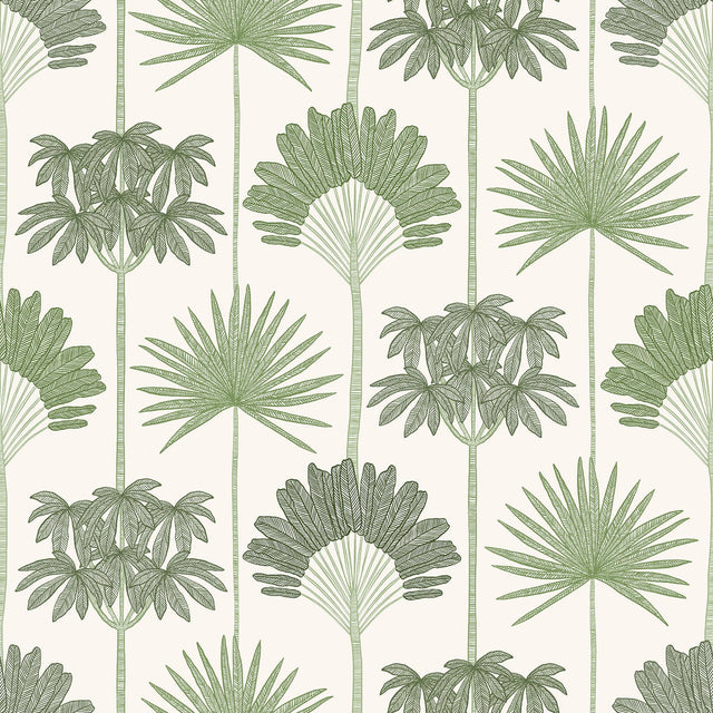 York Kentia Green Peel & Stick Wallpaper