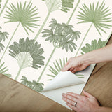 York Kentia Green Peel & Stick Wallpaper