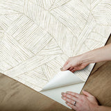 York Zen Garden Cream Peel & Stick Wallpaper