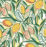 York Main Squeeze Peach Peel & Stick Wallpaper