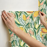 York Main Squeeze Peach Peel & Stick Wallpaper